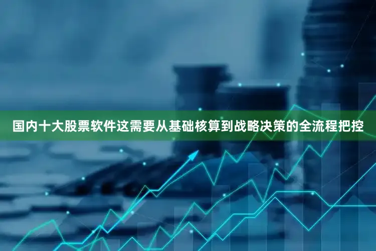 国内十大股票软件这需要从基础核算到战略决策的全流程把控